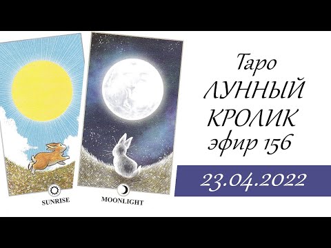 156. Таро Лунный Кролик (LUNALAPIN Tarot)