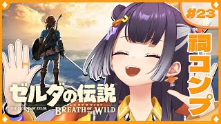 【ゼルダの伝説  ブレス オブ ザ ワイルド】年内祠コンプチャレンジ！  #23  【海妹四葉/にじさんじ】