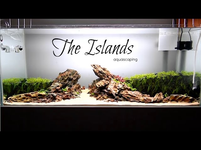 Aquascaping  THE ISLANDS