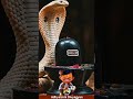 Shivshankar Song Shiv Shiva Mahadev Mahakal