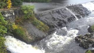 preview picture of video 'Linton Falls near Grassington Yorkshire'