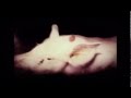 The Damned - Take That