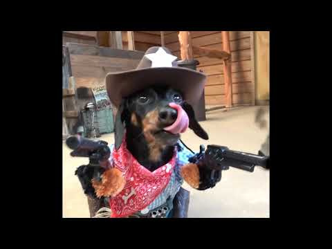 yxngxr1 - In the Western (Prod. Deadtalks)