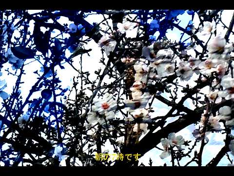 FRIO FRIO - El Yerman x Bixoraro