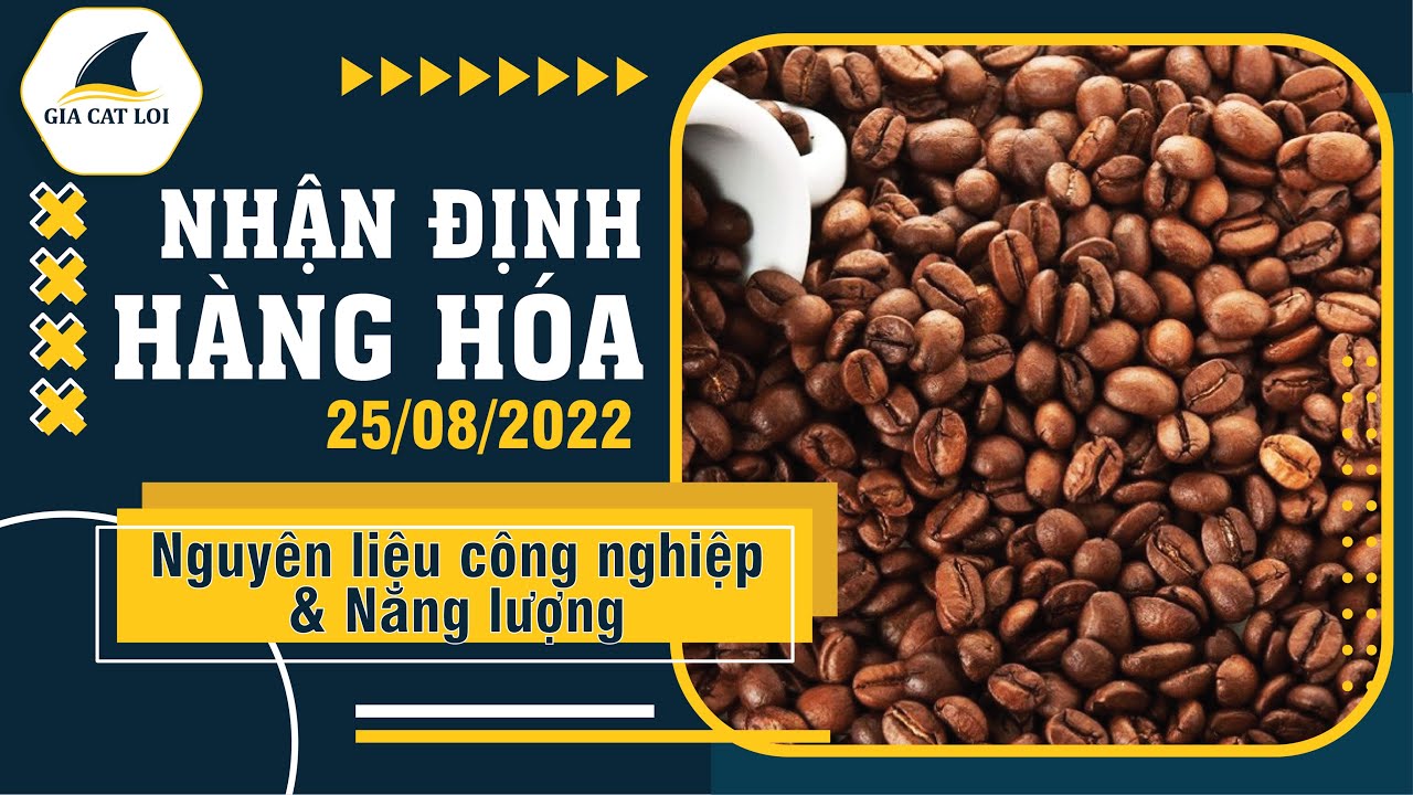 Nhận Định Thị Trường Năng Lượng & Nguyên Liệu Công Nghiệp Ngày 25/08/2022