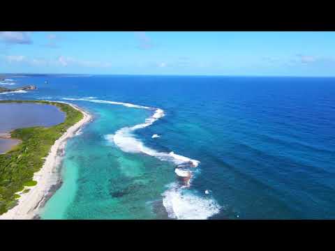 Rénald Sunset - CARIBBEAN CRUISE (Official Video) SmoothJazz