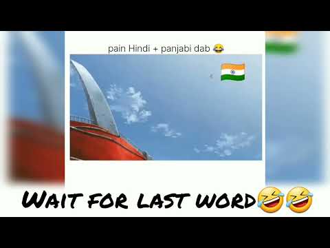 Punjabi Pain: The Hilarious Dub That Makes Sense