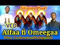 Alfaa Fi Omeegaa F Taa Caalummaa Faruu VCD Ortodoks Tawaahidoo Afaan Oromoo Itoophiyaa Sambe Tube