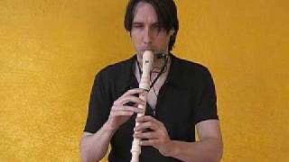 Third Wind (Pat Metheny's solo)  performed by  Benoît Sauvé/Recorder.avi