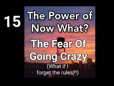 The Power Of Now What? Overcoming Awakening Problems Ep.15: The Fear Of Going Crazy