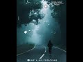 Paadi Parantha Kili Song Tamil Watsapp Status Melody Songs KB Creations