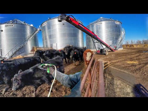 Speed Running 200+ Hd and trying new Conveyor