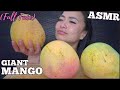ASMR FULL FACE FRIDAY GIANT MANGO EATING SOUNDS LIGHT WHISPERS SAS ASMR