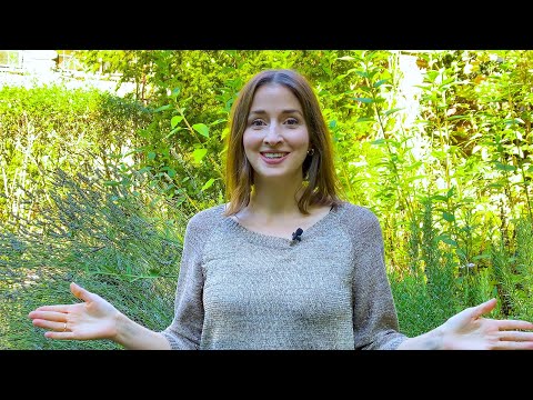 Berufung finden (so geht's stressfrei)