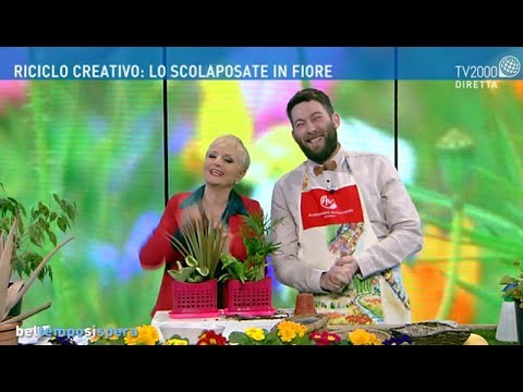 Bel tempo si spera - 20 febbraio 2020