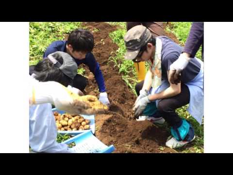 多摩大学ゼミ紹介 ～松本祐一ゼミ～