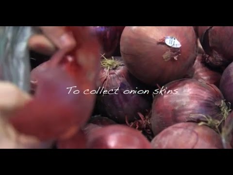 download lagu mp3 mp4 Onion Dyeing Process, download lagu Onion Dyeing Process gratis, unduh video klip Onion Dyeing Process