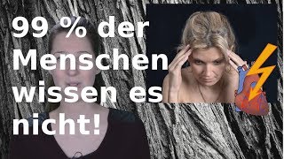 Der folgenschwere Fehler bei der Vitamin C -Einnahme!