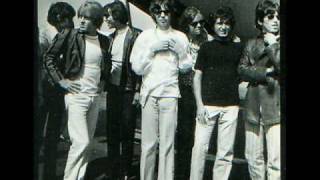 The Standells Cover The Rolling Stones 19th Nervous Breakdown