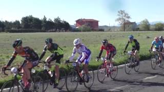 mediofondo-primavera-una-grande-giornata-di-sport