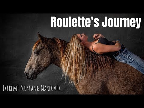 Texas Extreme Mustang Makeover 2020 – Roulettes Reise (100-Tage-Wild-Mustang-Challenge)