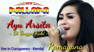 Ayu arsita | New Pallapa | ditinggal rabi - live curugsewu - kendal