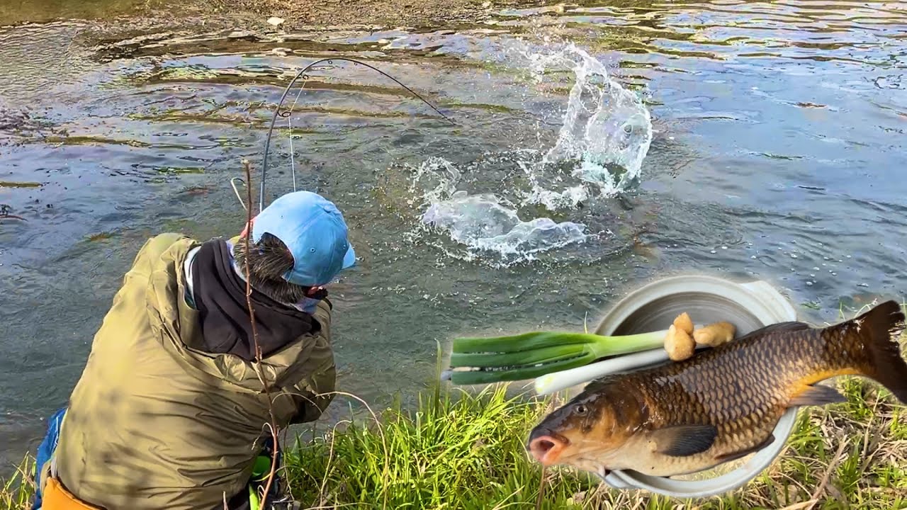 なぜ我々は鯉を食べないのか、近所の川で釣った“鯉”を食べてみた結果…想像以上にヤバかった【鯉捕獲編】
