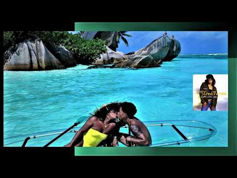 Streetwize ft. Kim Waters   "ROCK THE BOAT"       (2002)