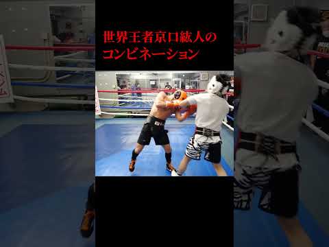 世界王者のコンビネーション