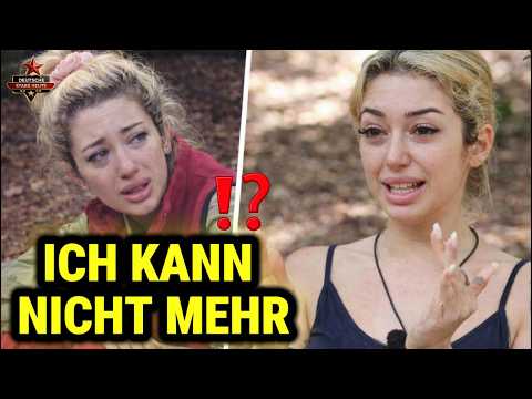 😱 „Ich kann nicht mehr!“ Ariel am Limit nach dem Dschungelcamp