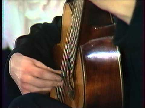 Khorevs plays: N.Rimsky Korsakov. Flight of The Bumble Bee