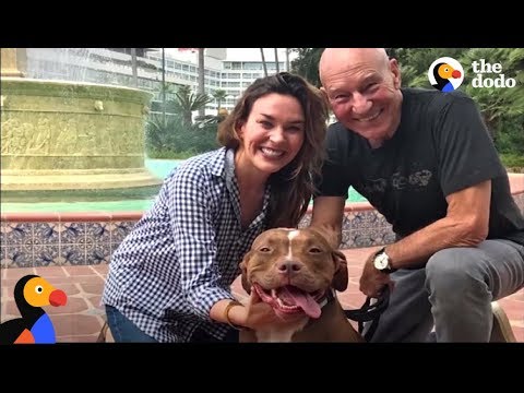 download lagu mp3 mp4 Bsl Ban, download mp3 Bsl Ban free download mp3, download mp3 Bsl Ban