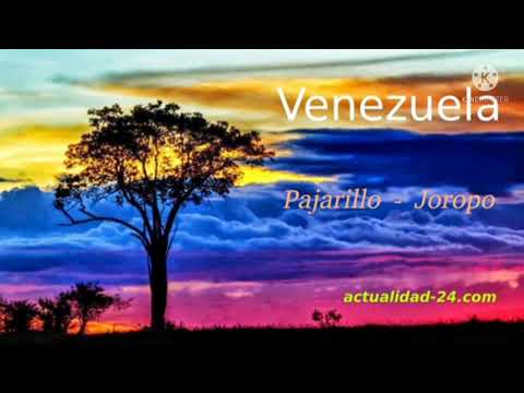 Pajarillo instrumental extendido