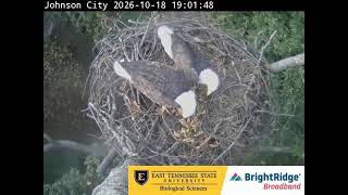Johnson City Cam 2: ETSU Eagle Cameras live webcam