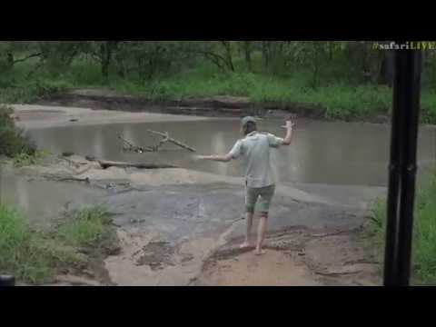 Djuma drought ends with downpour of life-giving rain