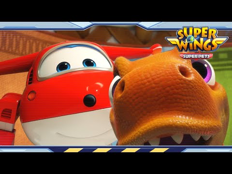 Witness21 Editor  2022 07 02