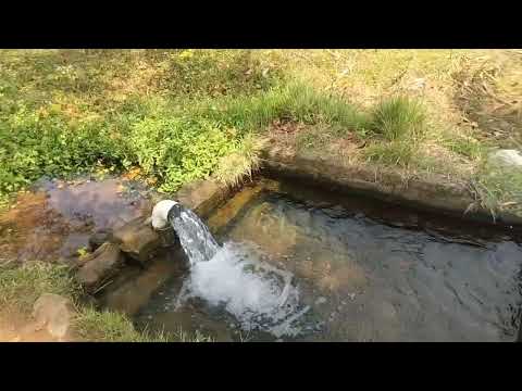  69760 Sq.ft. Agricultural/Farm Land for Sale in Kumbakonam, Thanjavur