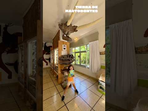 Marcos Paz: Tierra de Mastodontes 🦣🌳 toda la info en IG 👉SEGUIKOS #luajoajoni