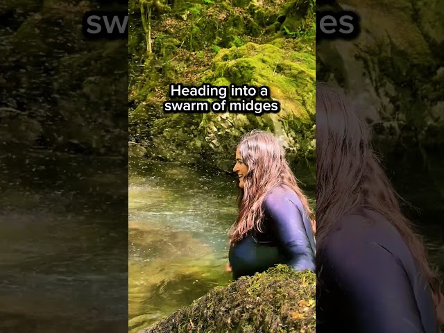 Vídeo relacionado con Wild Swims