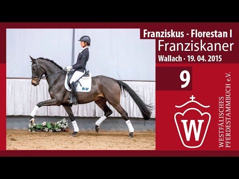 09 Franziskaner Wallach v. Franziskus - Florestan I