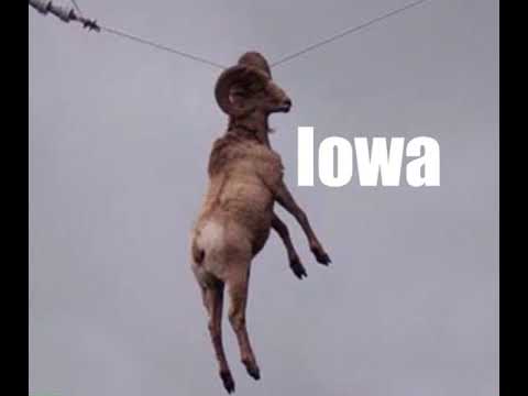 Iowa but it’s insanity