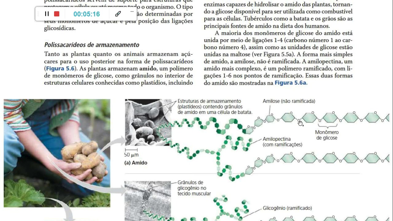 Sintese por desidratação dos carboidratos