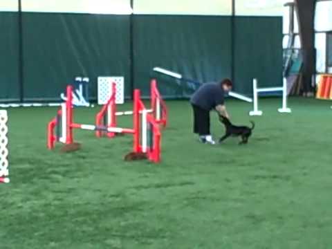 International practice, 4-23-11, 2nd course