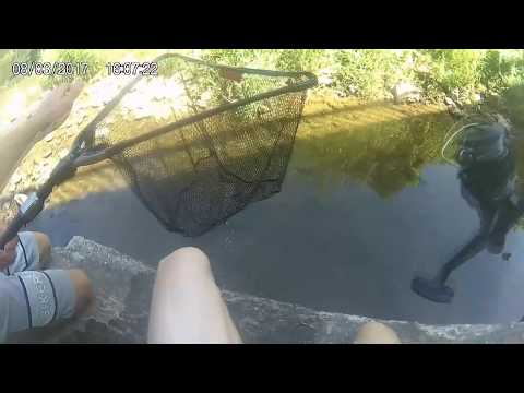 { ~PÊCHE~  } DES PRISES INATTENDUES😂😂 A LA PÊCHE DU GOUJONS , VAIRONS , GARDONS !!😂