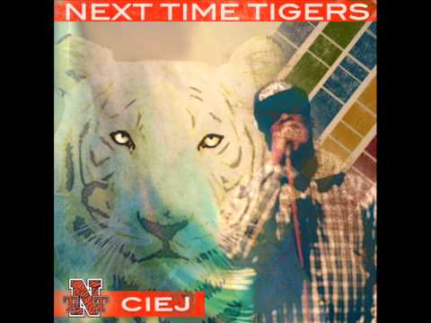 MIND ELEVATED ft. Nato Caliph x RT-Faq prod. by Ciej (Next Time Tigers)