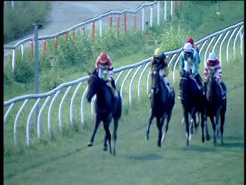 Galoppo 07/07/2019 - 6ª corsa