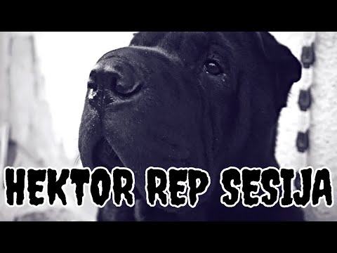 Hektor - Rep Sesija