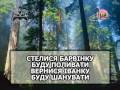 НЕСЕ ГАЛЯ ВОДУ — караоке Українська народна пісня Ukrainian folk song ...