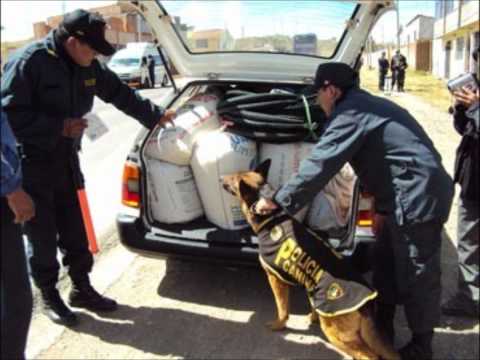 Natos Y Chalo - Mente En Blanco