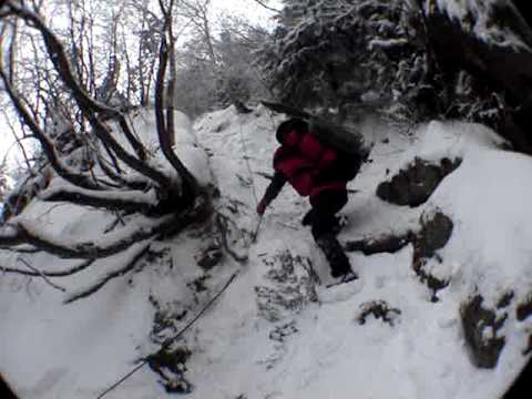 Descending the Cozia Mountain
